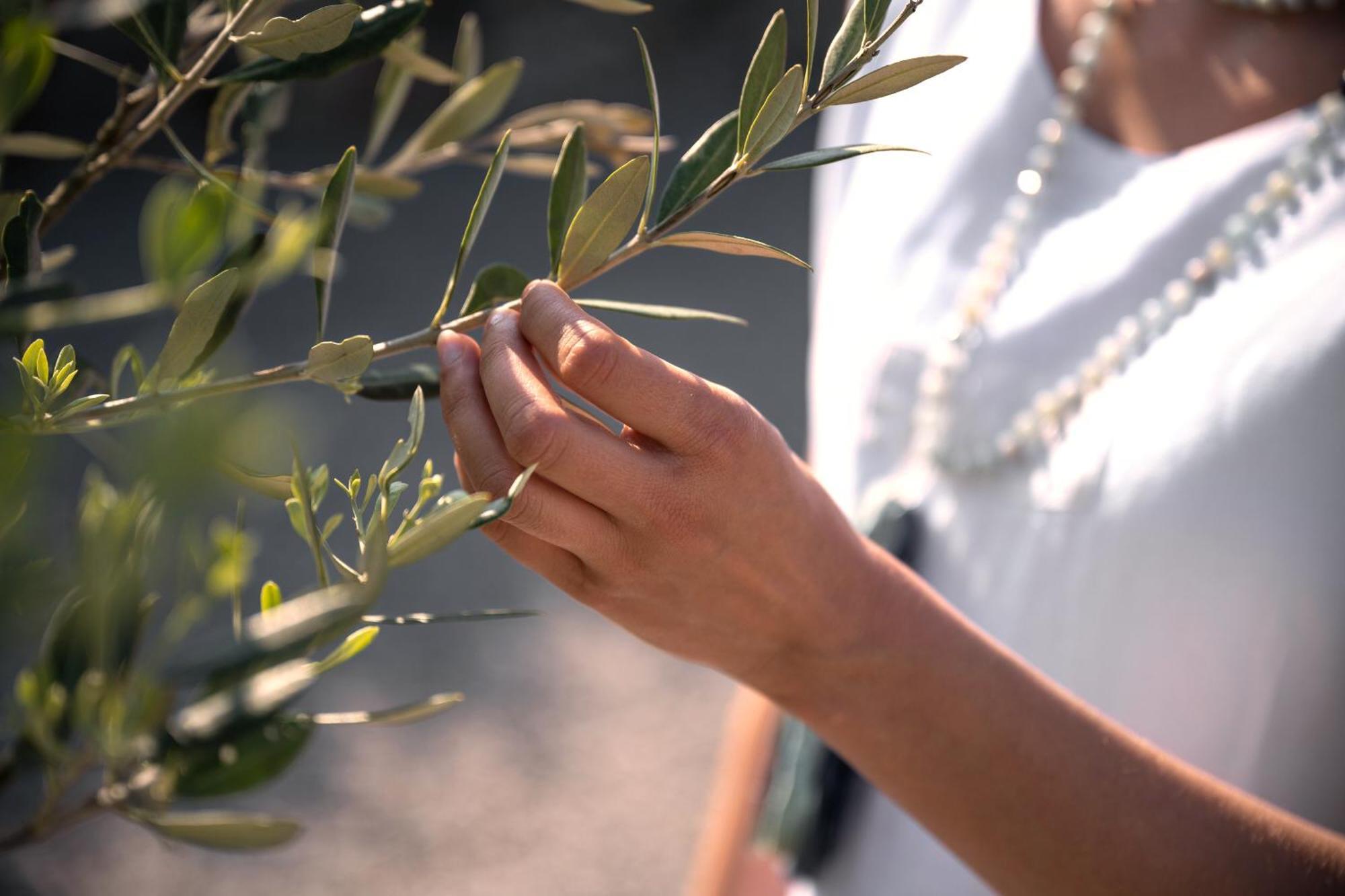 Biohotel Stdaniel Štanjel Εξωτερικό φωτογραφία